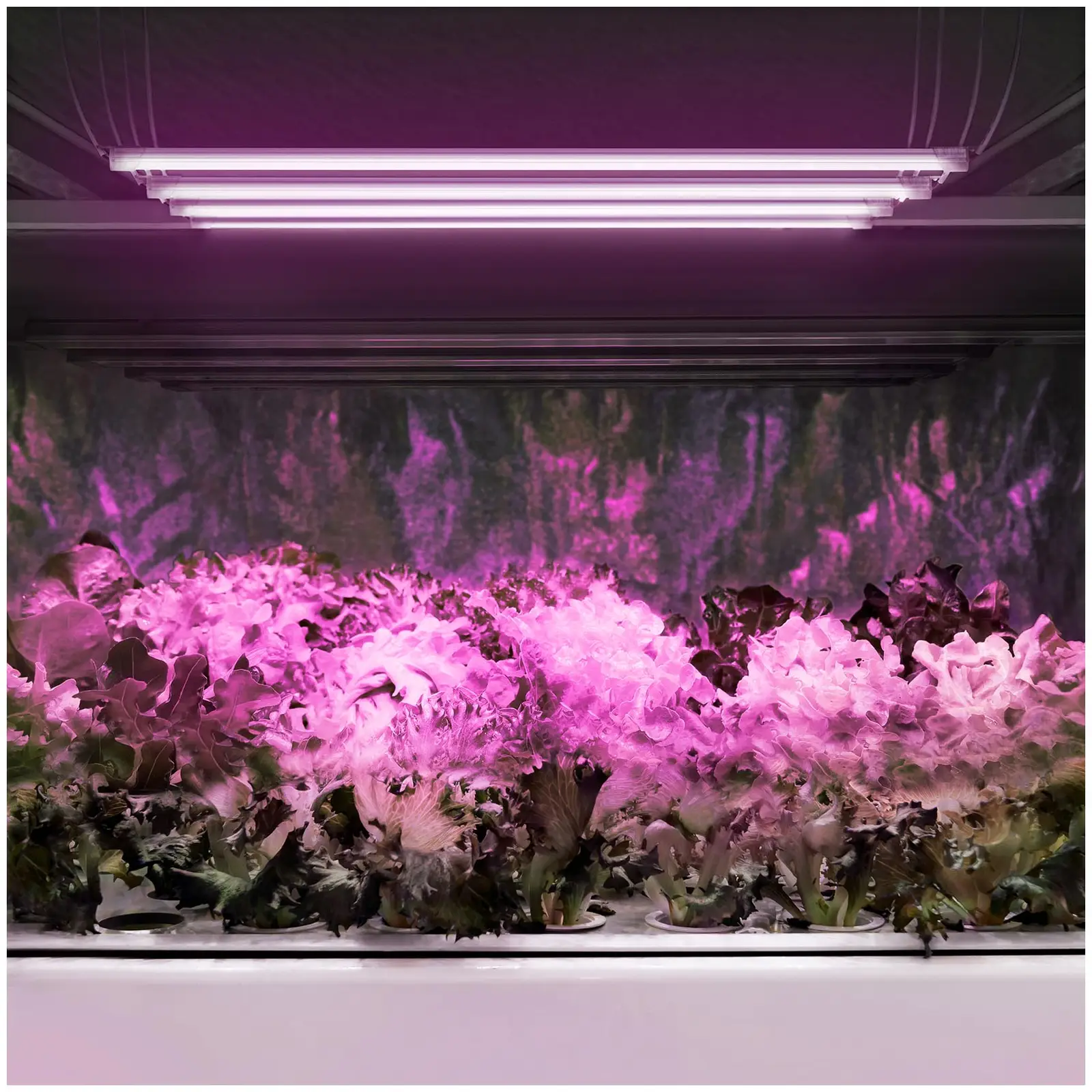 LED növénylámpa - piros/kék - 20 W - 120 LED -  1600 Lumen - 4 darab