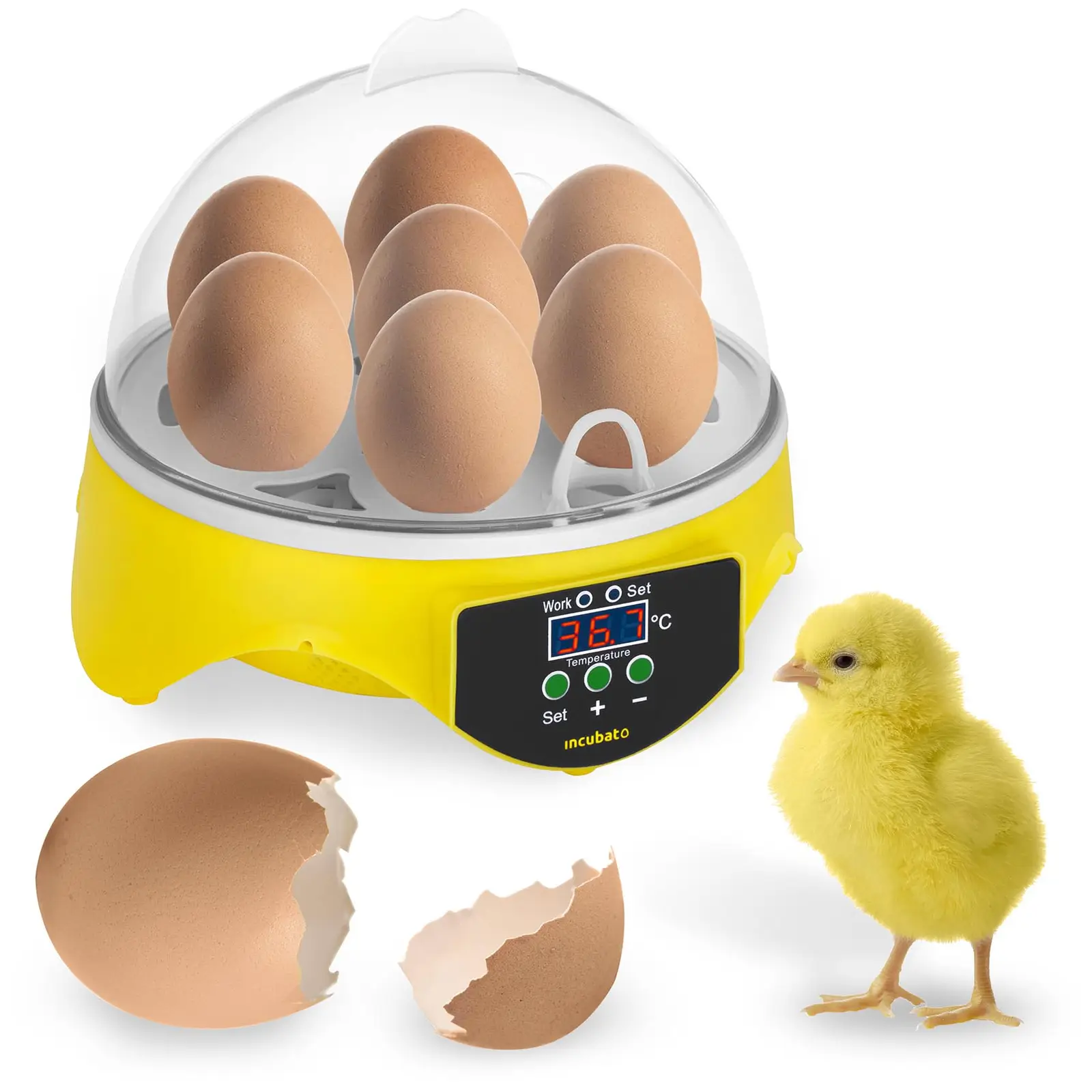 Tojás inkubátor - 7 tojás - lámpával